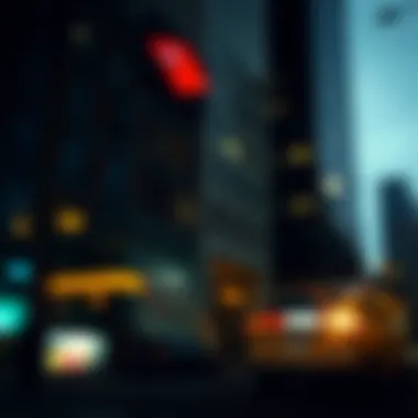 Future of ESG Initiatives Future outlook for Bank of America's ESG initiatives