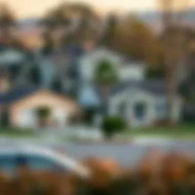 A serene suburban neighborhood featuring foreclosed homes.