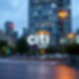 Citi Equity Loan Overview