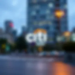Citi Equity Loan Overview