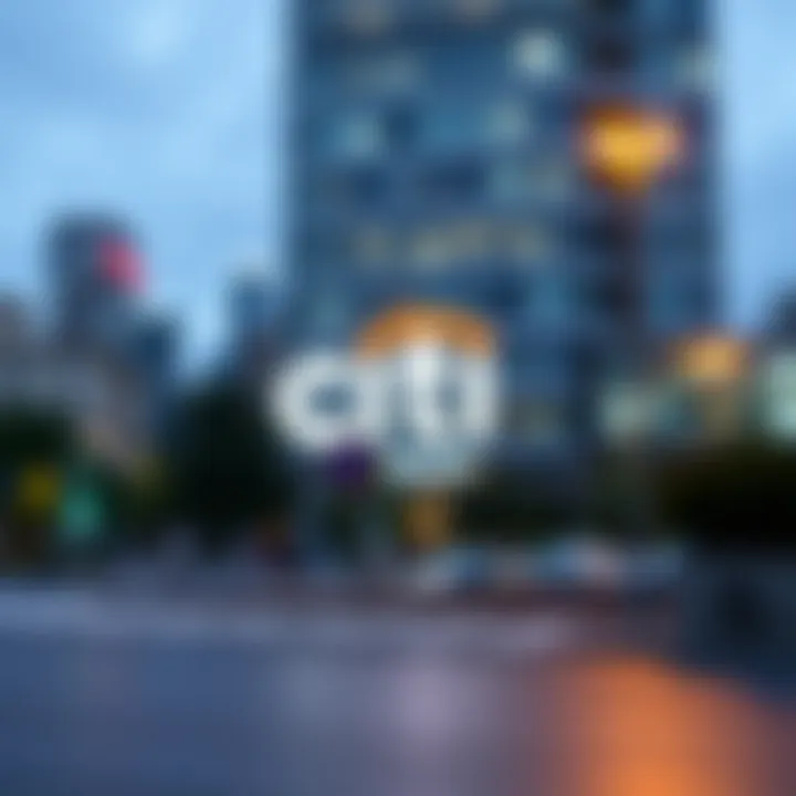 Understanding the Basics of Citi Equity Loans Citi Equity Loan Overview