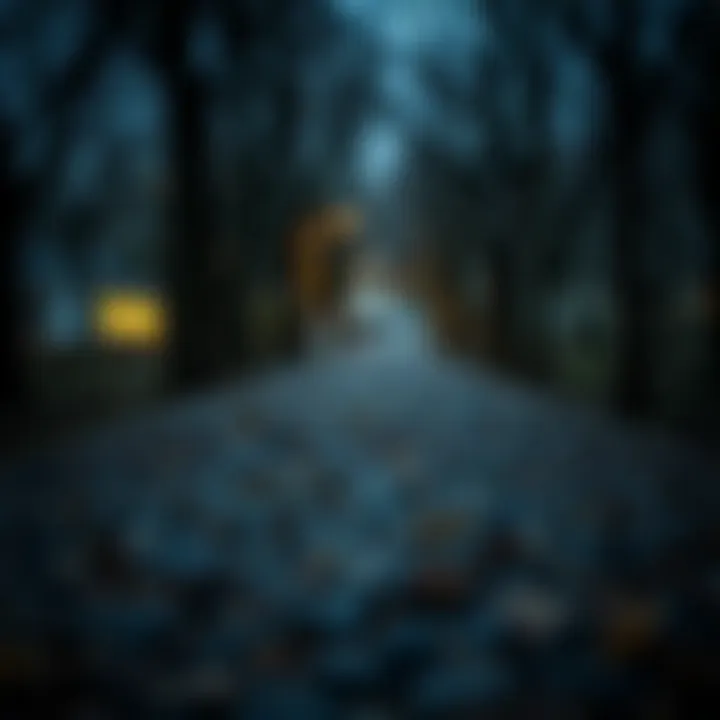Exploring Alternative Debt Solutions A pathway representing alternative debt solutions