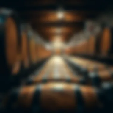 Wine barrels in a cellar representing aging process