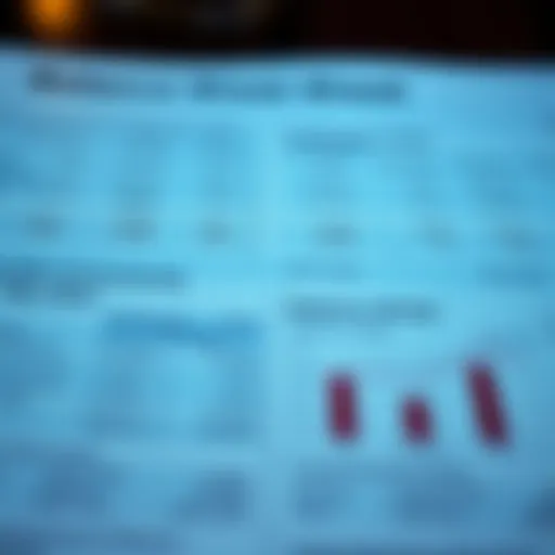 An analytical view of a balance sheet