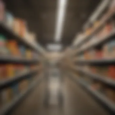 Popular Grocery Rebate Apps Collage of popular grocery rebate apps available in the market