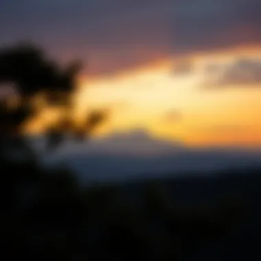 Navigating the borrowing landscape