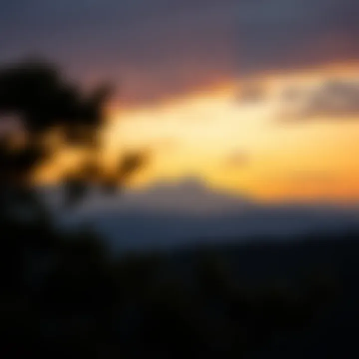 Navigating the borrowing landscape