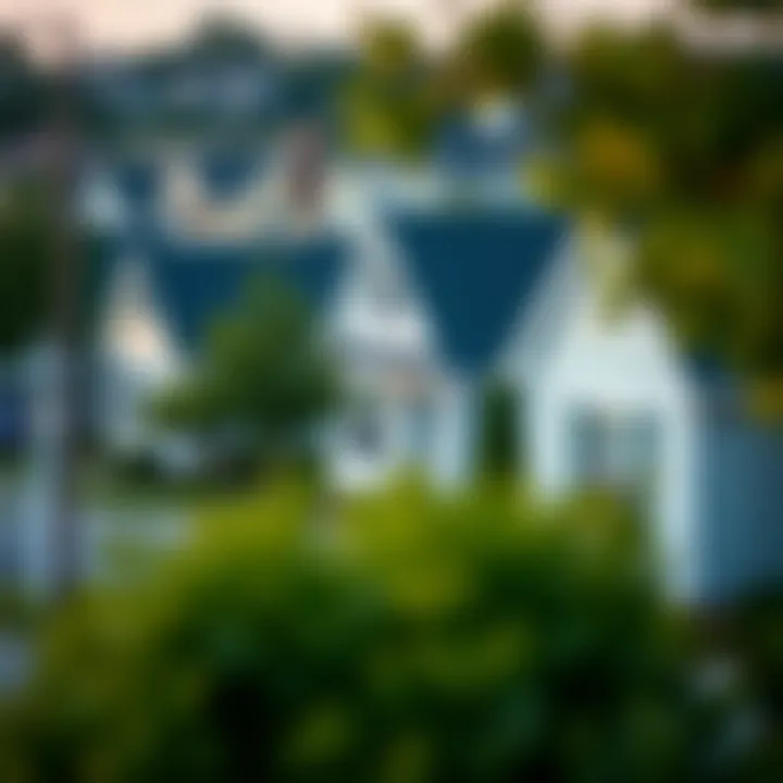 Welcoming Homes in a Neighborhood A serene neighborhood showcasing houses with welcoming designs