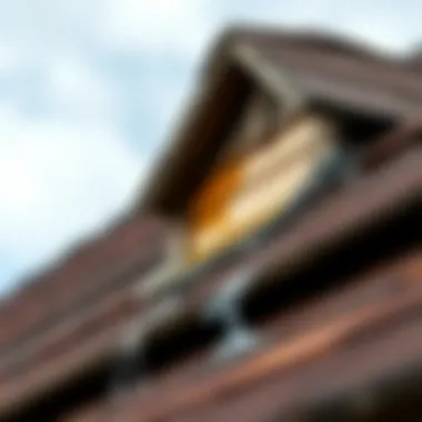 Impact of Roof Leaks on Property Close-up of a leaking roof with water damage