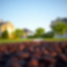 Key components of real estate transfer agreements