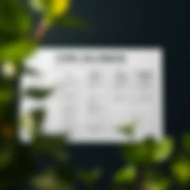 Types of Tax Credits Explained Chart showing different types of tax credits available under ACA