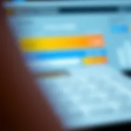 Calculator interface for retirement distribution planning