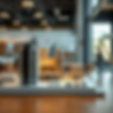 Operational Model of the Company