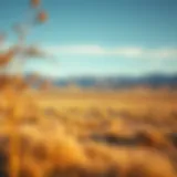 Stunning landscape of vacant land available for investment